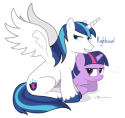 Size: 1380x1300 | Tagged: safe, artist:dm29, shining armor, twilight sparkle, alicorn, pony, g4, alicornified, brother and sister, colored hooves, duo, female, male, male alicorn, prince shining armor, race swap, righteous, shiningcorn, simple background, spread wings, stallion, transparent background, unamused, wings