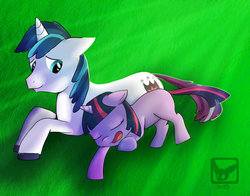 Size: 1024x802 | Tagged: safe, artist:fluttertroll, shining armor, twilight sparkle, g4, filly, sleeping