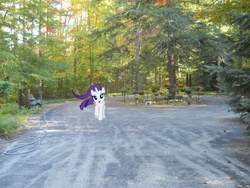 Size: 4320x3240 | Tagged: safe, artist:venom2204, rarity, g4, drive-way, hose, ponies in real life, tree, vector, yard