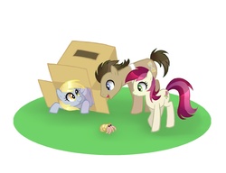 Size: 975x750 | Tagged: safe, artist:author-chan, gameloft, derpy hooves, doctor whooves, roseluck, time turner, crab, pegasus, pony, g4, box, cardboard box, cute, derpabetes, doctorbetes, female, hermit crab, mare, rosabetes, shell, trio