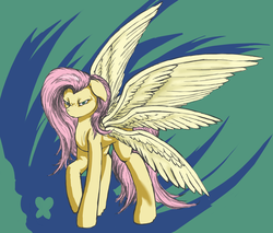 Size: 1697x1447 | Tagged: safe, artist:vicmanone, fluttershy, seraph, g4, multiple wings, seraphshy, wings