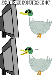 Size: 1000x1451 | Tagged: safe, bird, duck, badge icon image, image macro, meta, op, op is a duck, op is a duck (reaction image), open mouth, quack, reaction image, simple background, smiling, solo, transparent background, vector