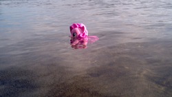 Size: 1280x720 | Tagged: safe, pinkie pie, earth pony, pony, g4, irl, irlponies, photo, ponies in real life, solo, water