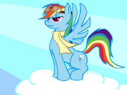 Size: 889x667 | Tagged: safe, artist:tristikov, rainbow dash, pony, g4, clothes, female, goggles, scarf, solo