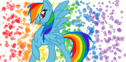 Size: 965x479 | Tagged: safe, artist:rainbow-ninja-adopts, rainbow dash, g4, abstract background, looking back, one wing out, rainbow background, raised hoof, side view, solo, standing, wings