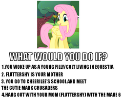 Size: 726x584 | Tagged: safe, fluttershy, g4, fluttermom, image macro, meta