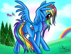 Size: 1024x768 | Tagged: safe, artist:1234lert7nan2, rainbow dash, pegasus, pony, g4, butt, female, looking at you, looking back, looking back at you, mare, plot, solo, tree