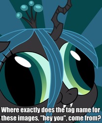 Size: 600x720 | Tagged: safe, queen chrysalis, g4, hey you, meta, question