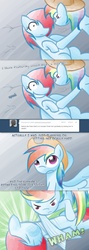 Size: 800x2242 | Tagged: safe, artist:feather, rainbow dash, ask rainbow danger dash, g4, tumblr