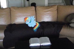 Size: 4000x2664 | Tagged: safe, artist:venom2204, rainbow dash, g4, book, couch, cowering, ponies in real life, vector