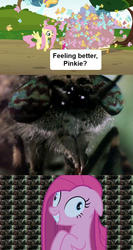 Size: 640x1202 | Tagged: safe, edit, edited screencap, screencap, fluttershy, pinkie pie, butterfly, earth pony, pegasus, pony, g4, party of one, too many pinkie pies, contemplating insanity, female, horsefly, insanity face, mare, pinkamena diane pie, scary, spongebob squarepants, wormy