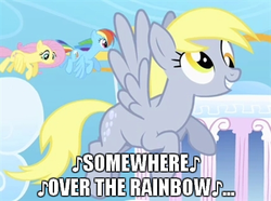 Size: 400x297 | Tagged: safe, derpy hooves, fluttershy, rainbow dash, pegasus, pony, g4, female, image macro, mare, the wizard of oz