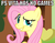 Size: 601x466 | Tagged: safe, fluttershy, pegasus, pony, g4, female, gamershy, image macro, mare, smirk, troll