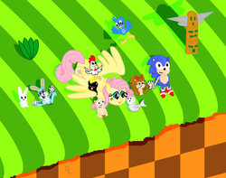 Size: 900x709 | Tagged: source needed, safe, artist:php21, angel bunny, fluttershy, rocky, bird, chicken, penguin, pig, rabbit, squirrel, walrus, g4, animal friends, classic sonic, crossover, cucky, flicky, green hill zone, male, pecky, picky, ricky, sonic the hedgehog, sonic the hedgehog (series)