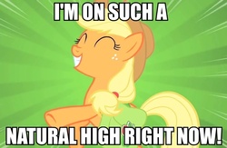 Size: 826x540 | Tagged: safe, applejack, g4, all caps, caption, image macro, impact font