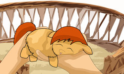 Size: 900x536 | Tagged: safe, artist:inkiepie, fluffy pony, fluffy pony original art, sleeping