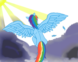 Size: 900x722 | Tagged: safe, artist:platin17, rainbow dash, anthro, g4, cloud, cloudy, colored, feather
