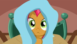 Size: 435x250 | Tagged: safe, artist:jan, babs seed, earth pony, pony, ask the crusaders, g4, blanket, cropped