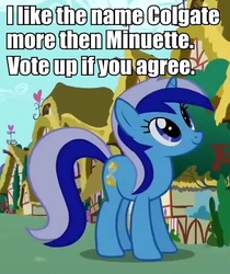 Size: 684x816 | Tagged: safe, minuette, g4, lesson zero, my little pony: friendship is magic, cropped, female, image macro, looking up, meta, solo, vote