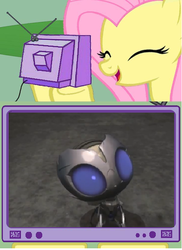 Size: 439x604 | Tagged: safe, fluttershy, g4, exploitable meme, meme, scraplet, this will end in tears, transformers, transformers prime, tv meme