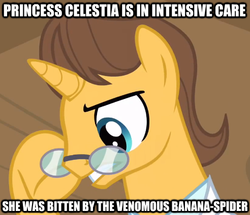 Size: 492x424 | Tagged: safe, doctor horse, doctor stable, spider, g4, glasses, image macro, implied princess celestia