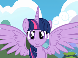 Size: 817x612 | Tagged: safe, artist:pixelkitties, twilight sparkle, alicorn, pony, g4, cropped, female, mare, multicolored hair, multicolored mane, purple body, purple coat, purple eyes, purple fur, purple hair, purple mane, purple pony, purple wings, solo, spread wings, striped hair, striped mane, three toned hair, three toned mane, twilight sparkle (alicorn), wings