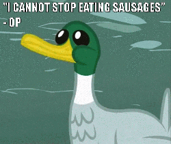 Size: 500x423 | Tagged: safe, edit, edited screencap, screencap, bird, duck, g4, animated, caption, image macro, innuendo, op, op is a duck, op is a faggot, reaction image, solo, text