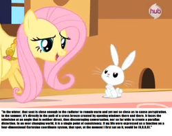 Size: 1162x920 | Tagged: safe, angel bunny, fluttershy, g4, text, the big bang theory