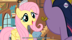 Size: 765x424 | Tagged: safe, screencap, fluttershy, twilight sparkle, g4, keep calm and flutter on, element of magic, pepsi, soda, youtube caption