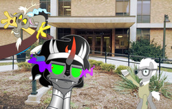 Size: 1021x649 | Tagged: safe, edit, covalent bond, discord, king sombra, earth pony, pony, g4, building, college, irl, kent state university, me gusta, photo, ponies in real life, university