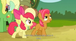 Size: 1589x861 | Tagged: safe, screencap, apple bloom, apple honey, babs seed, half baked apple, wensley, apple family reunion, g4, youtube caption, youtube link