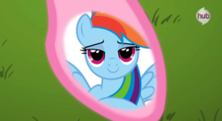 Size: 848x466 | Tagged: safe, pinkie pie, rainbow dash, g4, season 3, pinkie's hoof