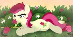 Size: 6000x3015 | Tagged: safe, artist:icaron, roseluck, earth pony, pony, g4, background pony, blushing, bush, female, flower, lily (flower), mare, plant, prone, rose, show accurate, smelling, sniffing, solo, vector