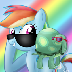 Size: 800x800 | Tagged: safe, artist:leibi97, rainbow dash, tank, pegasus, pony, tortoise, g4, female, holding, mare, signature, smiling, sunglasses