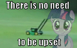 Size: 325x203 | Tagged: safe, twilight sparkle, g4, alicorn drama, animated, female, flying lawn mower, image macro, irl, jimmies, lawn mower, meme, photo, there is no need to be upset