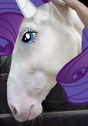 Size: 468x667 | Tagged: safe, rarity, horse, g4, hoers, irl, irl horse, photo, recolored hoers, solo