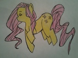 Size: 640x480 | Tagged: safe, artist:the-virginmaryam, fluttershy, pony, g4