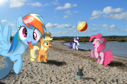 Size: 6016x4000 | Tagged: safe, artist:globalpredatorx, applejack, pinkie pie, rainbow dash, rarity, g4, ponies in real life