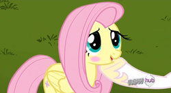 Size: 851x467 | Tagged: safe, screencap, fluttershy, princess celestia, g4, keep calm and flutter on, my little pony: friendship is magic, blushing, hoof shoes, hooves, hub logo, smiling, solo focus