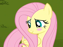 Size: 615x466 | Tagged: safe, screencap, fluttershy, g4, keep calm and flutter on, my little pony: friendship is magic, blushing, cute, shyabetes