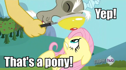 Size: 850x468 | Tagged: safe, edit, edited screencap, screencap, discord, fluttershy, g4, keep calm and flutter on, hub logo, image macro, magnifying glass