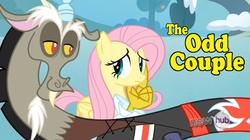 Size: 1024x573 | Tagged: safe, discord, fluttershy, g4, crossover, image macro, the odd couple