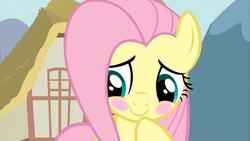 Size: 1280x720 | Tagged: safe, screencap, fluttershy, pony, g4, keep calm and flutter on, blushing, cute, female, mare, solo