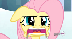 Size: 850x470 | Tagged: safe, screencap, fluttershy, g4, keep calm and flutter on, faic, hub logo, ice skating