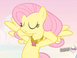 Size: 1052x800 | Tagged: safe, screencap, fluttershy, pony, g4, keep calm and flutter on, my little pony: friendship is magic, element of kindness, female, hub logo, solo