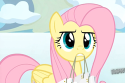 Size: 1208x803 | Tagged: safe, screencap, fluttershy, pony, g4, keep calm and flutter on, female, frustrated, hub logo, ice skates, solo, upset