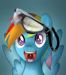 Size: 1272x1454 | Tagged: safe, artist:industrialtale, rainbow dash, g4, goggles