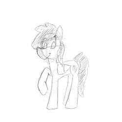 Size: 1024x1024 | Tagged: safe, artist:lightningjolt, oc, oc only, pegasus, pony, female, sketch