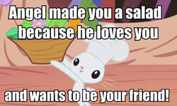 Size: 635x380 | Tagged: safe, angel bunny, rabbit, g4, animal, image macro, salad