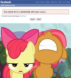 Size: 427x468 | Tagged: safe, edit, edited screencap, screencap, apple bloom, babs seed, pony, g4, cousin incest, duo, facebook, female, filly, foal, implied incest, lesbian, ship:appleseed, shipping